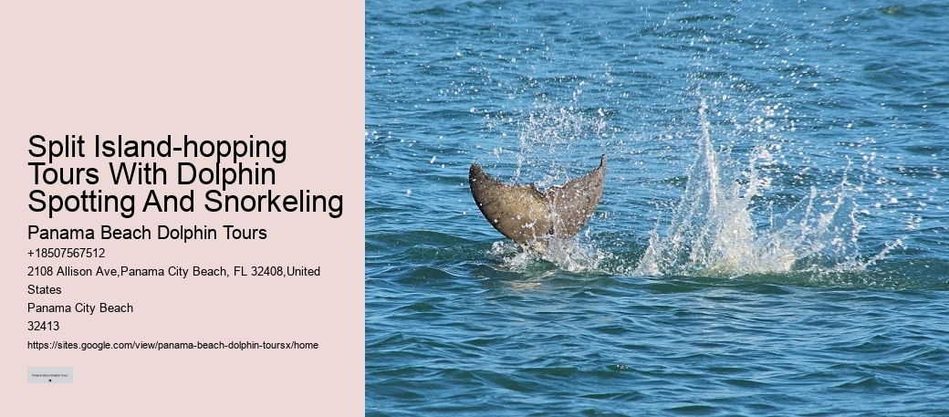 Do You Get Wet On A Dolphin Cruise