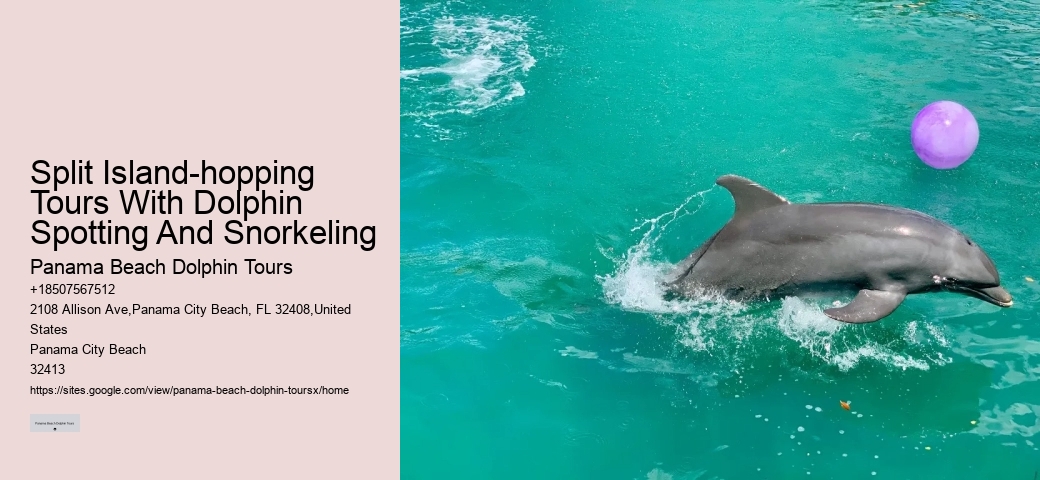 Split Island-hopping Tours With Dolphin Spotting And Snorkeling