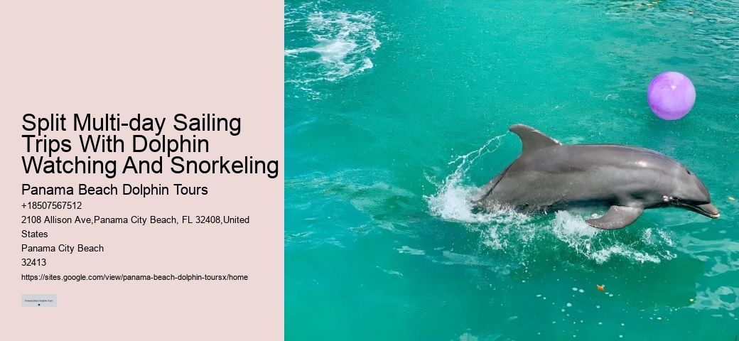 Split Multi-day Sailing Trips With Dolphin Watching And Snorkeling