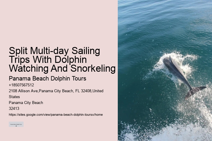 Secluded Dolphin Adventure and Snorkeling Experience