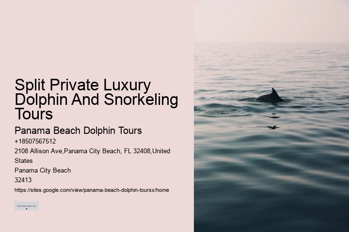 Panama Beach Dolphin Tours