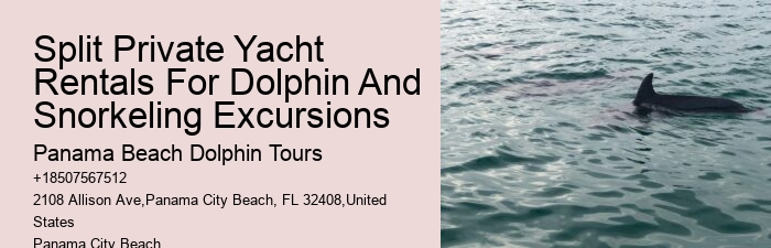 Panama City Beach dolphin boat excursions
