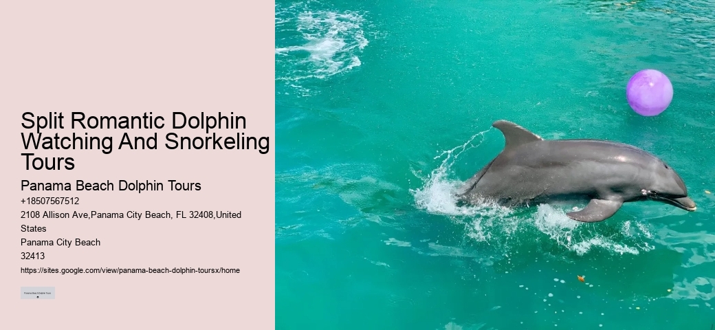 Split Romantic Dolphin Watching And Snorkeling Tours
