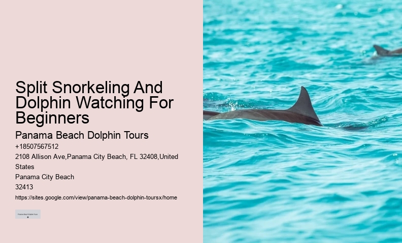 Panama City Beach dolphin watching excursions