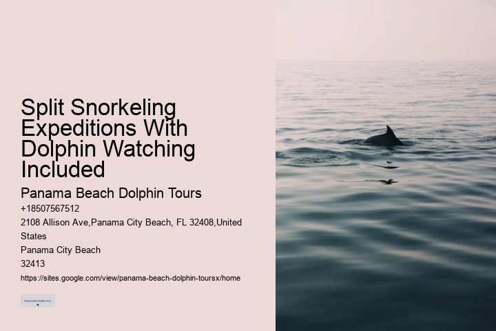 Are Dolphins Actually Happy In Captivity