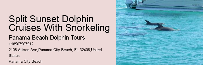 Why Shouldn't You Touch Dolphins