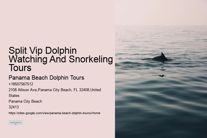 Split Personalized Dolphin And Snorkeling Charters