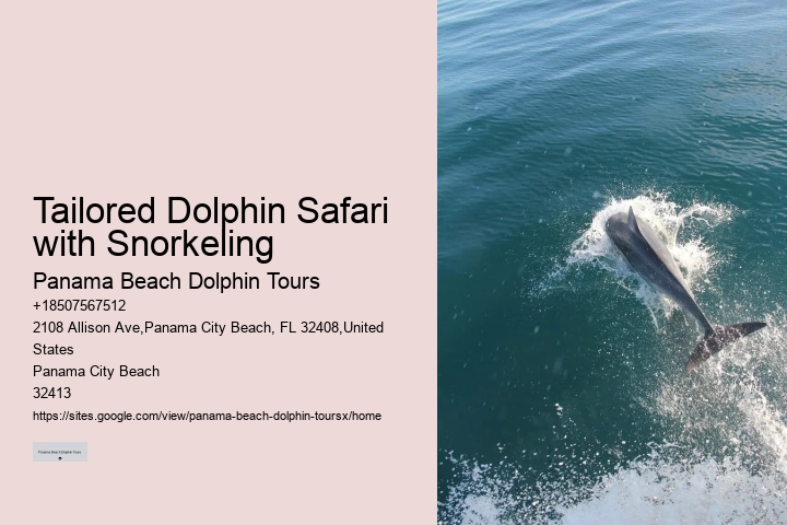 Luxury Dolphin Encounter and Snorkeling