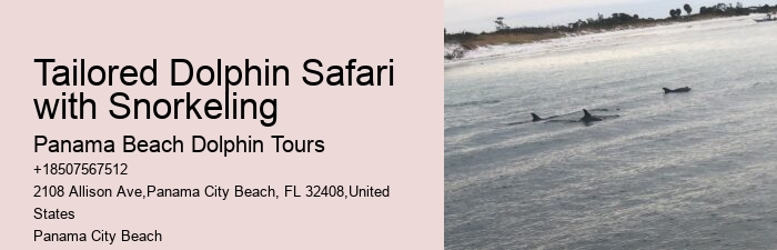 Dolphin Tours And Travels