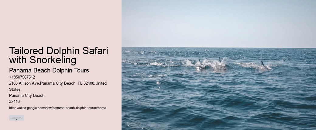 Panama City Beach Catamaran Snorkel Dolphin Swim Cruise