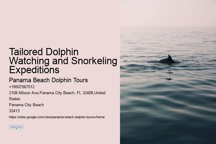 Salty Mary Dolphin And Snorkel Tours Reviews