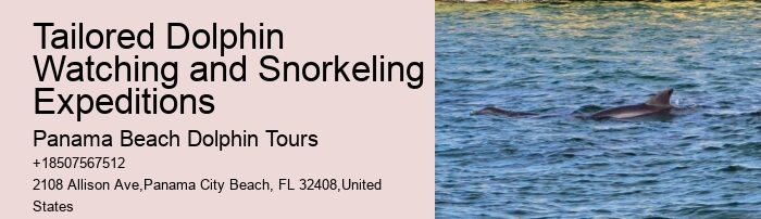 Snorkeling and Dolphin Tour