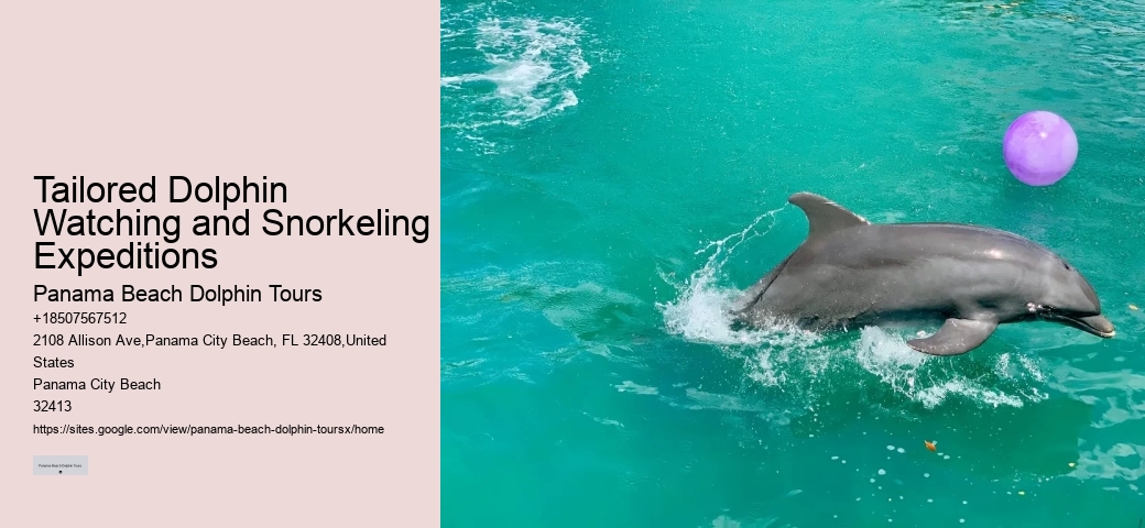 Secluded Dolphin Encounter with Snorkeling