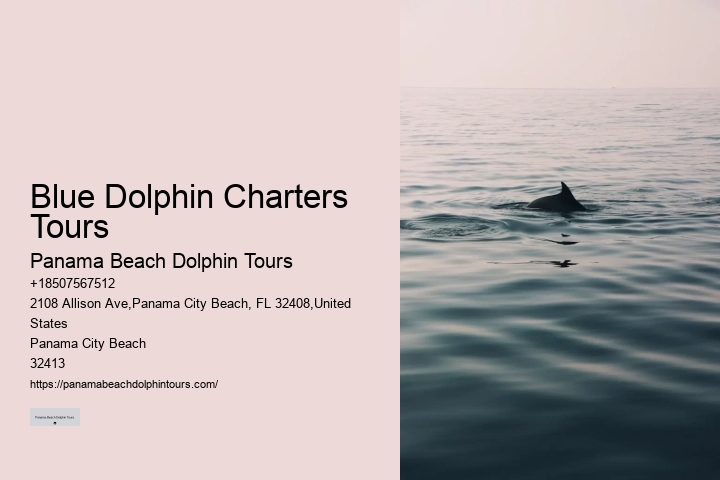 Private Dolphin Tours Panama City Beach