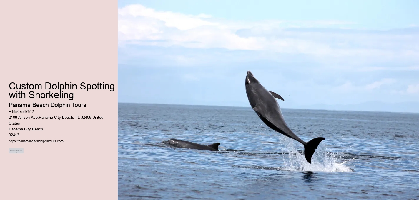 Panama City Beach dolphin sightseeing tours