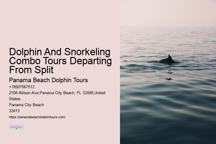 Private 2 Hour Dolphin And Snorkeling Tour