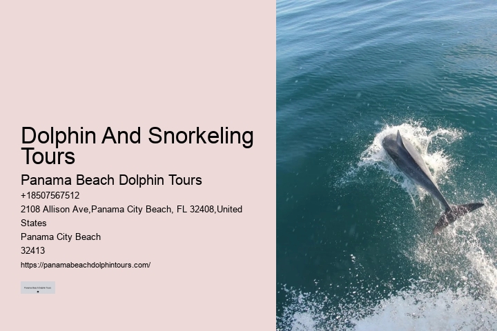 Split Thrilling Snorkeling And Dolphin Watching Charters