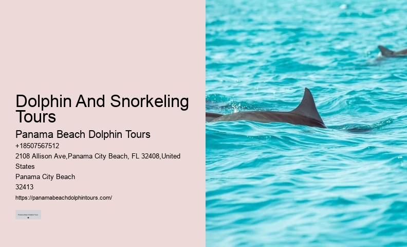 Port Aransas Dolphin Tours