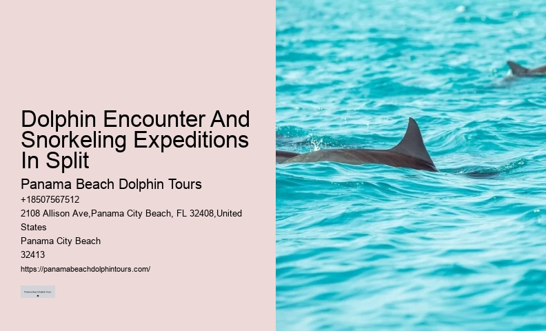 Blue Dolphin Tours Panama City Beach Fl