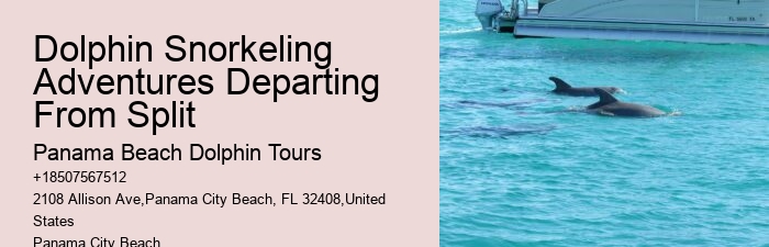 Panama City Beach Dolphin Tours Panama City Beach