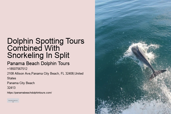Why Can't You Wear Jewelry While Swimming With Dolphins