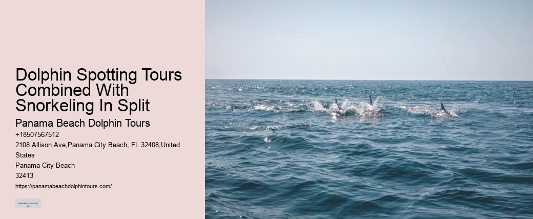 Split Exclusive Snorkeling And Dolphin Charters