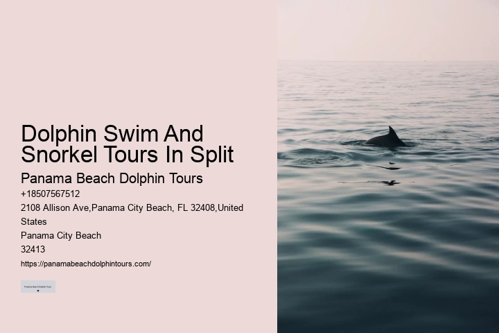 Split Charter Dolphin Tours