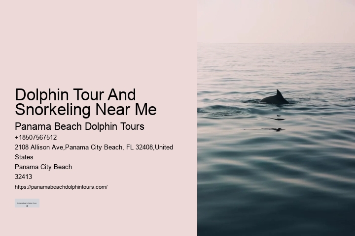 2 Hours Private Dolphin And Snorkeling Tours