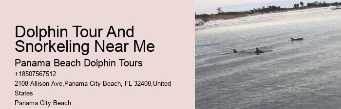 Panama Beach Dolphin Tours Panama City Beach