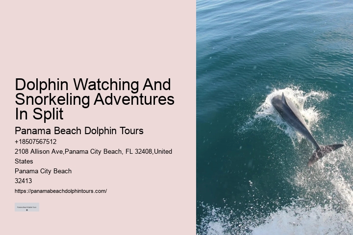 Panama City Dolphin Tours
