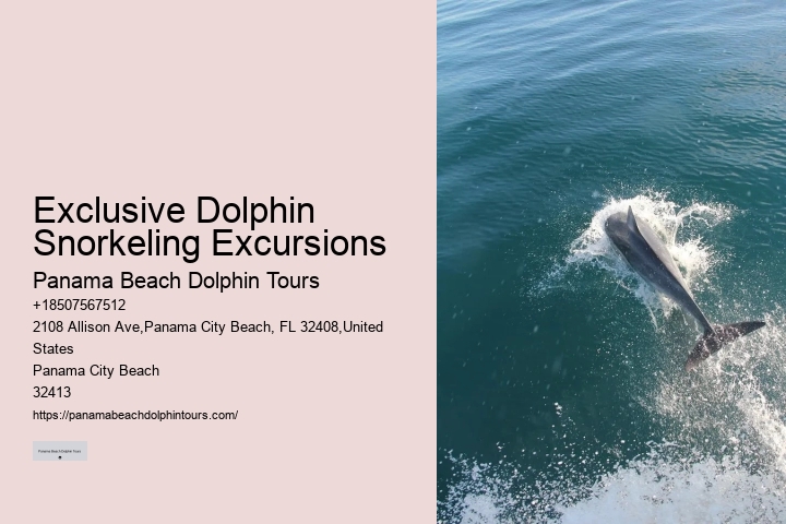 PCB Dolphin Exploration Experiences
