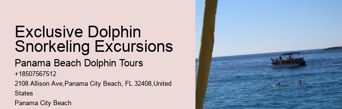 Dolphin Tours Near Me Panama City Beach