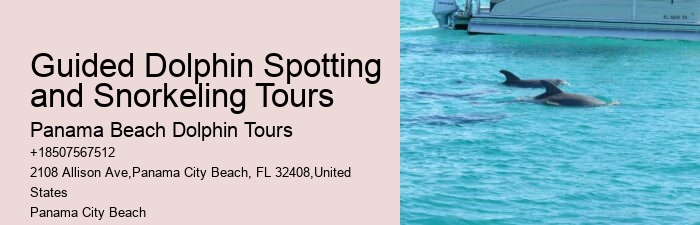 Private Dolphin Tours Destin Fl