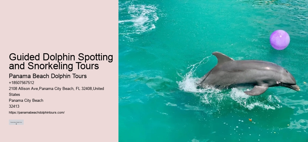 Panama City Dolphin Tours And More