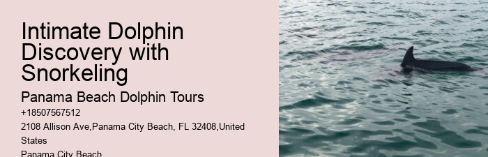 Split Educational Dolphin And Snorkeling Tours