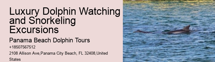 Split Unforgettable Snorkeling And Dolphin Trips