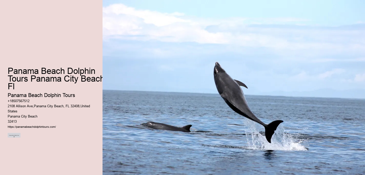 Are there evening sunset dolphin tours available in Panama City Beach