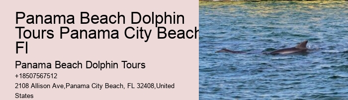 Dolphin Tours Rosemary Beach
