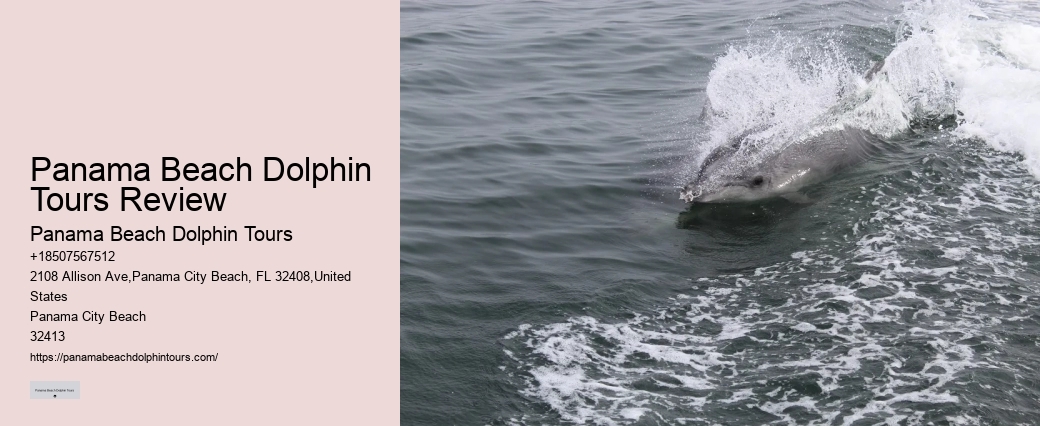 Is there a restroom on board the dolphin tour boats