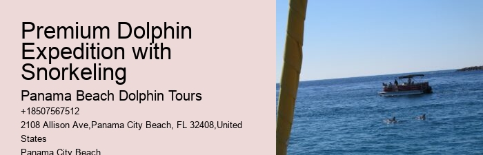 Dolphin Exploration Cruises in Panama City Beach