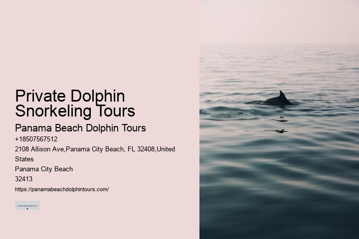Secluded Dolphin Exploration and Snorkeling