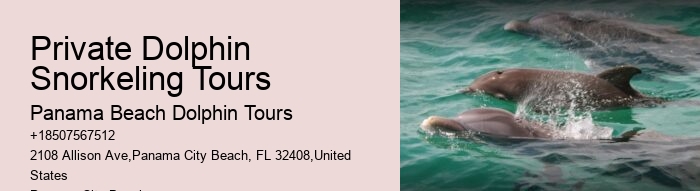 Split Private Charters For Dolphin And Snorkeling