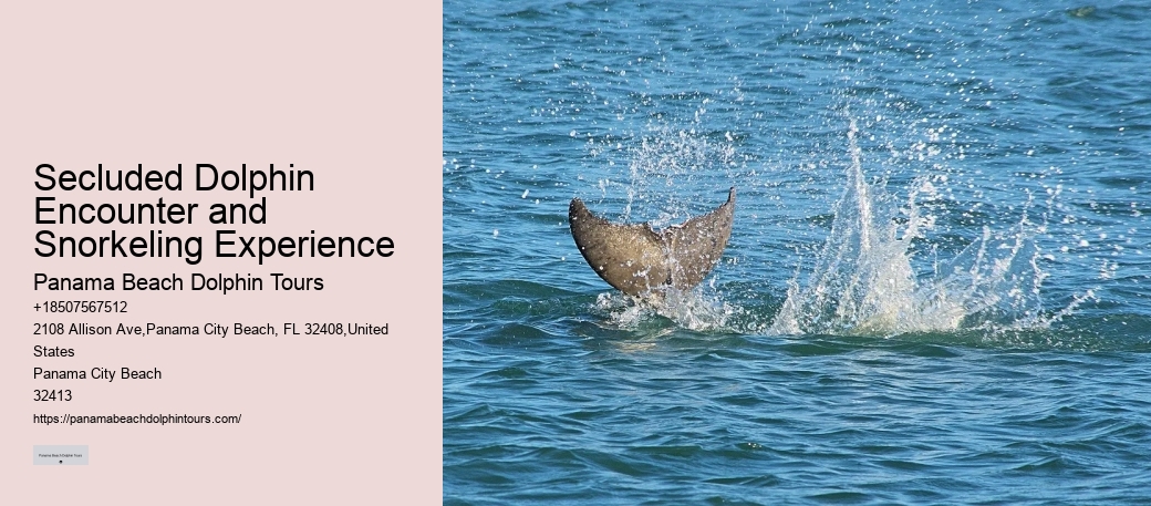 Dolphins