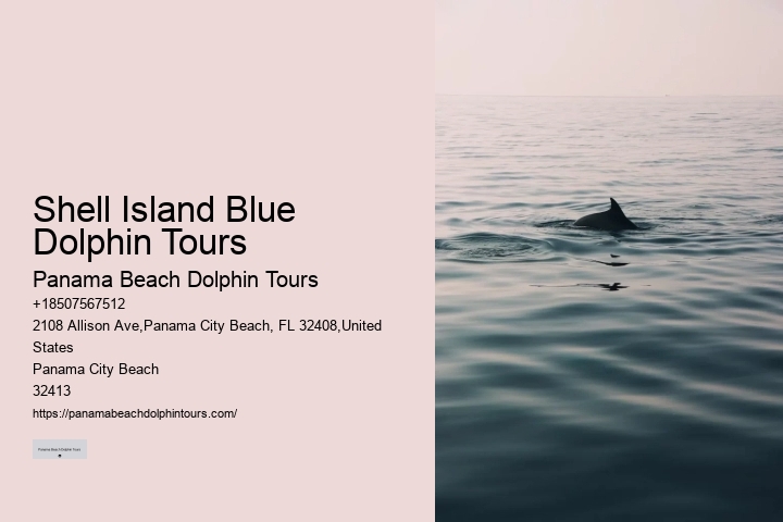 Appreciating Dolphins