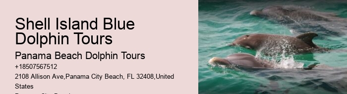 How close do the dolphin boats get to the dolphins in Panama City Beach
