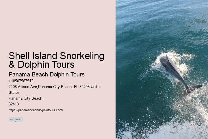 Panama Beach Dolphin Tours Panama City Beach Fl