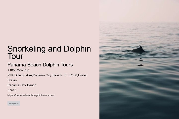 What Is A Dolphins Worst Enemy