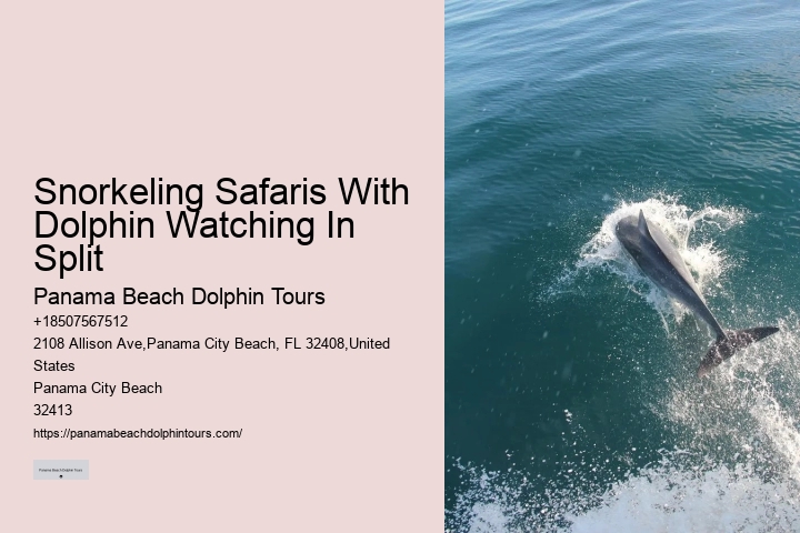 Deluxe Dolphin Encounter with Snorkeling
