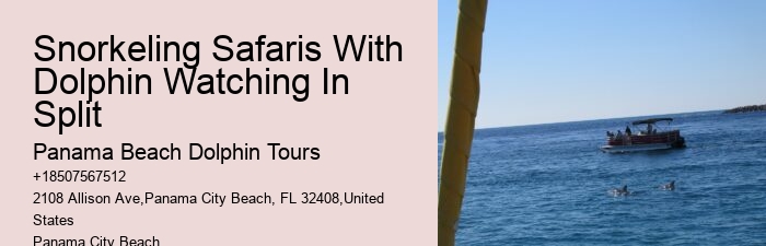 Split Charter Dolphin And Snorkeling Tours Cost