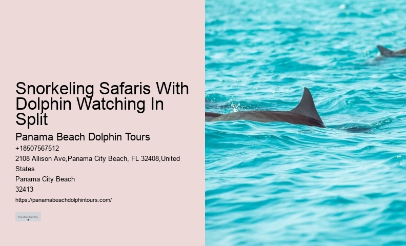 Panama City Beach Dolphin Tours Prices